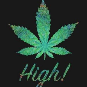 Meet your Posher, Jayla